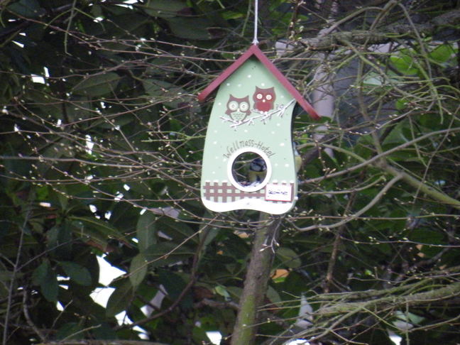 Ein schoener Vogel