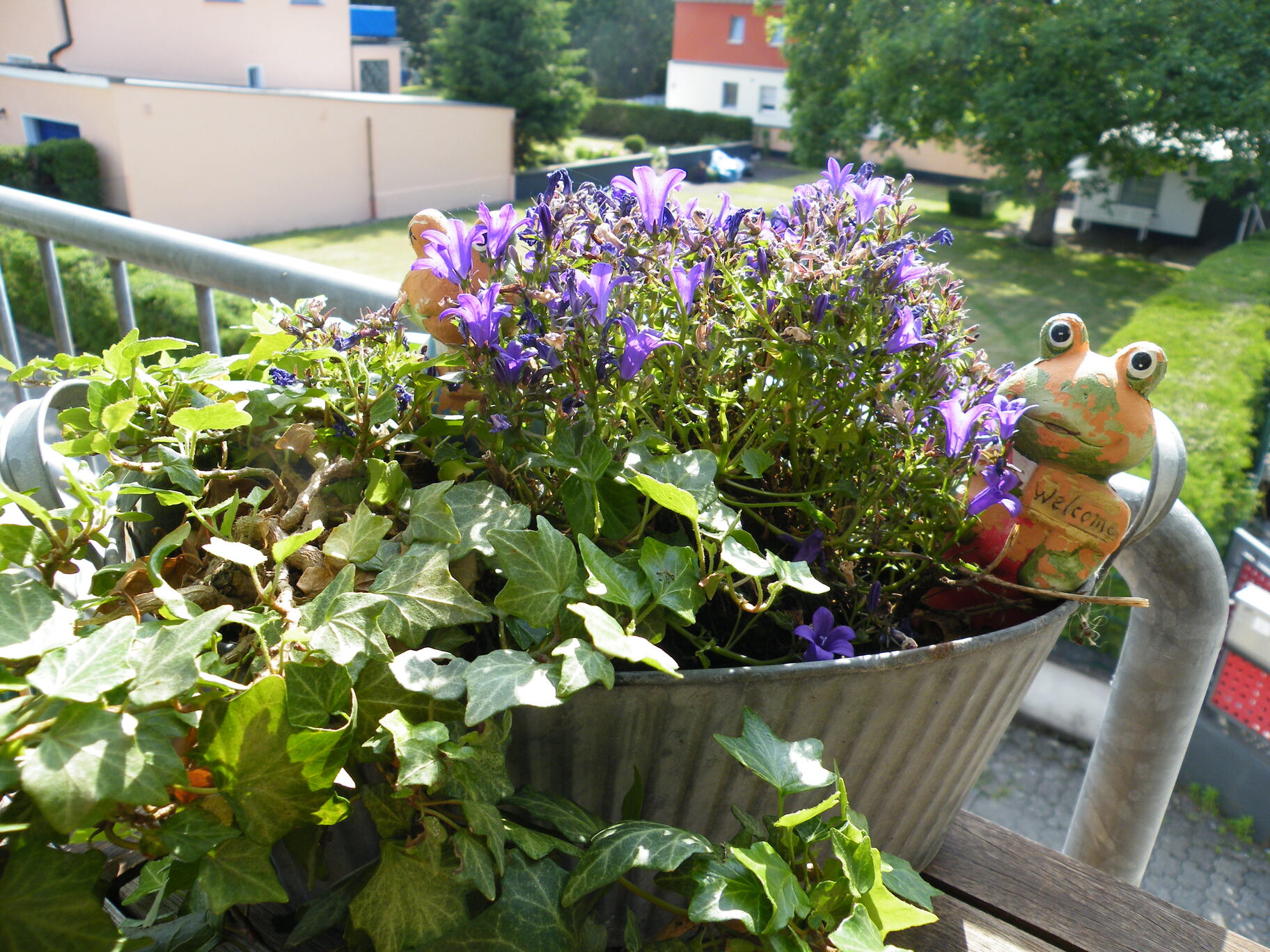 Frosch-Kinder mit Blumen