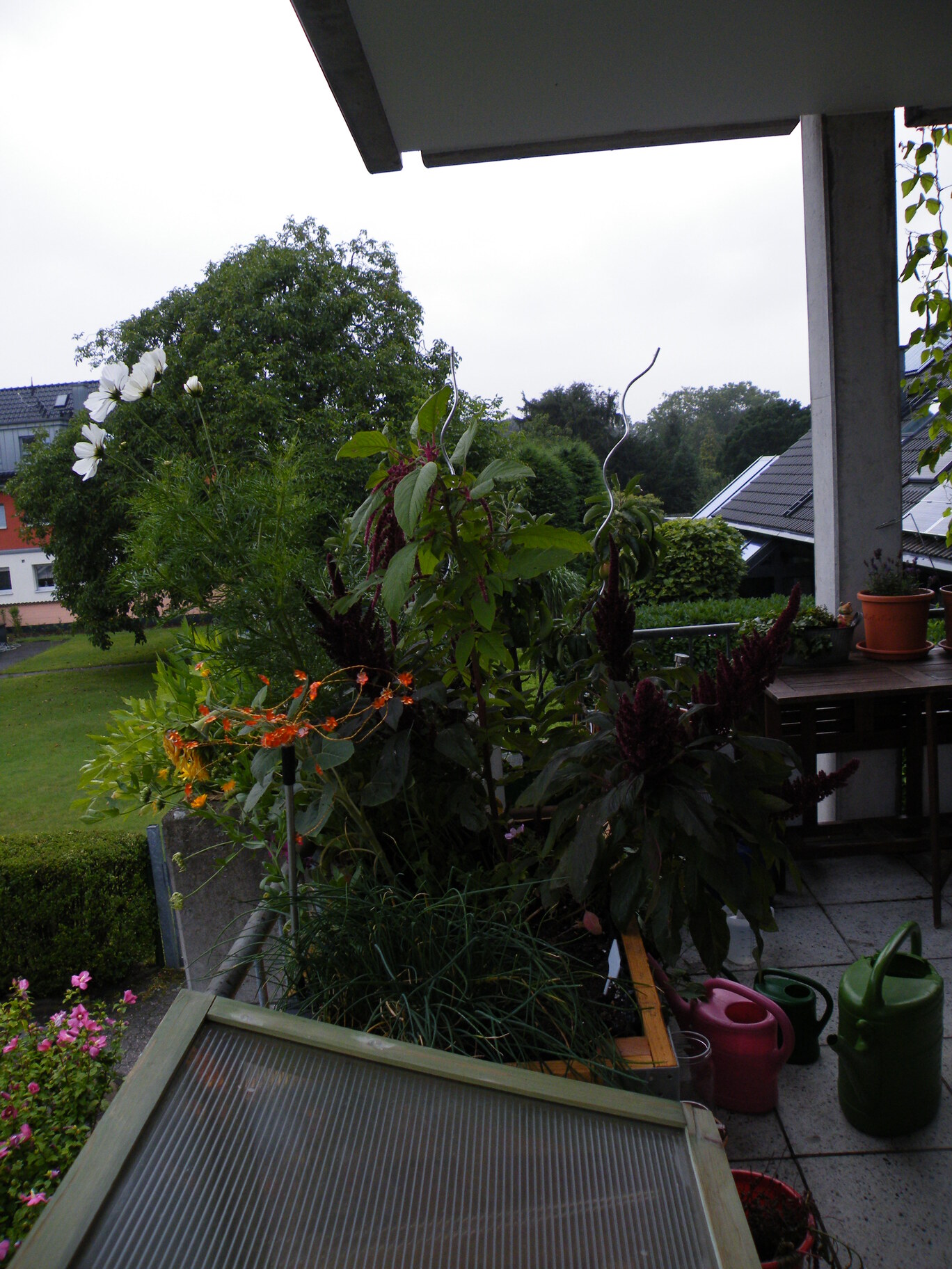 Balkonbild Blumen