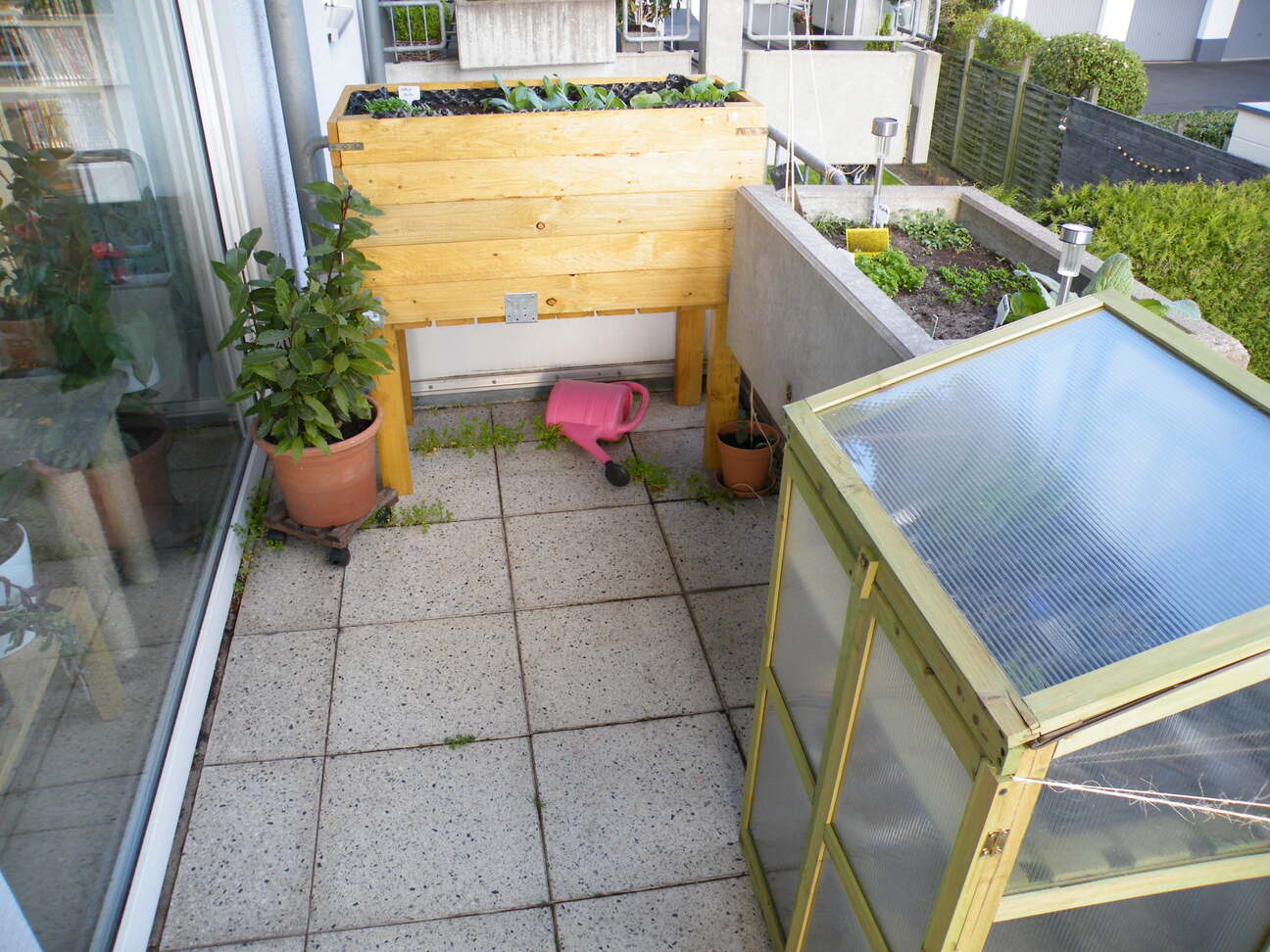 Bild vom Balkon, Hochbeet, Anzuchthaus, Lorbeerstrauch