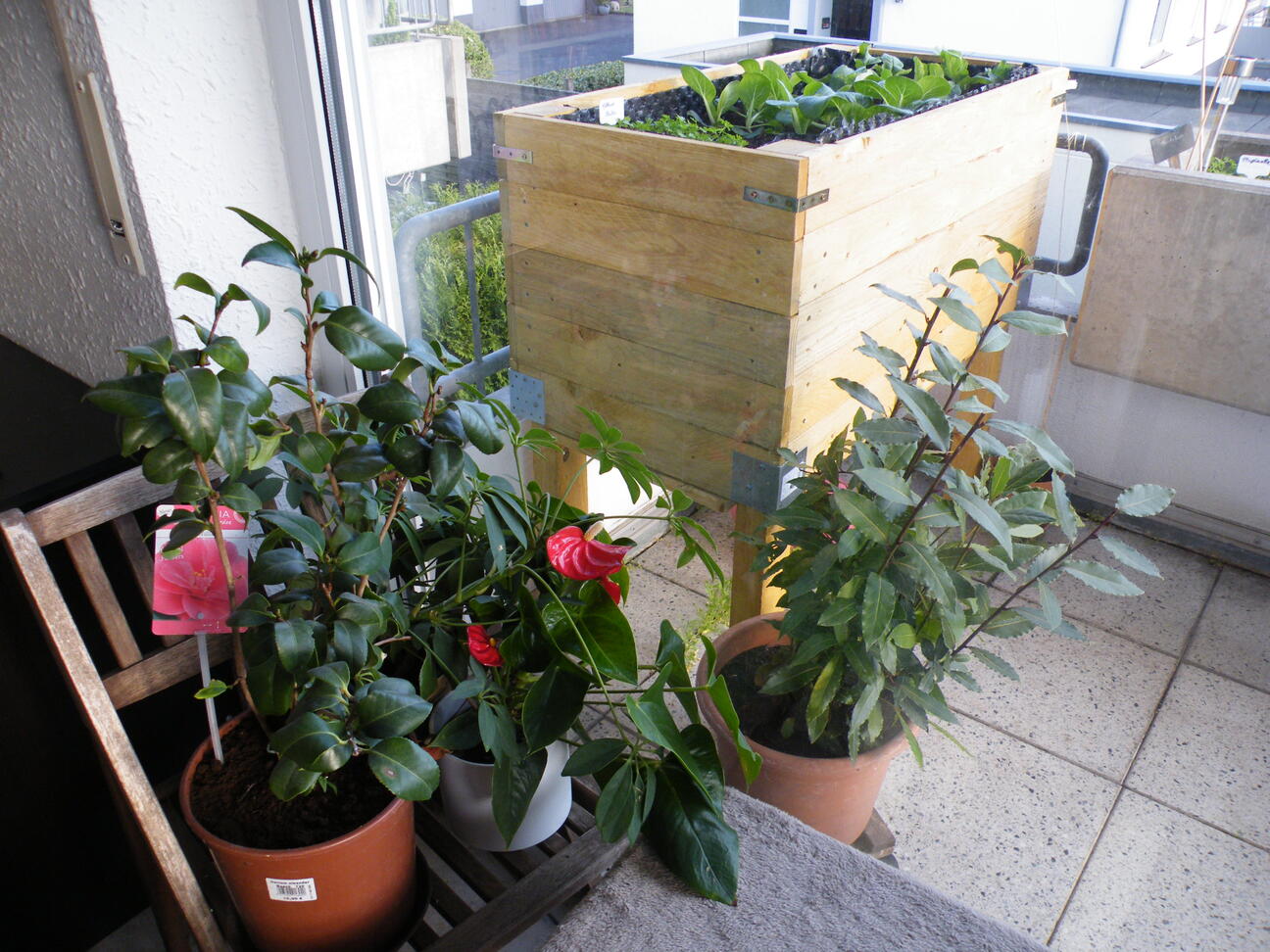 Fensterfront mit Zimmerpflanzen