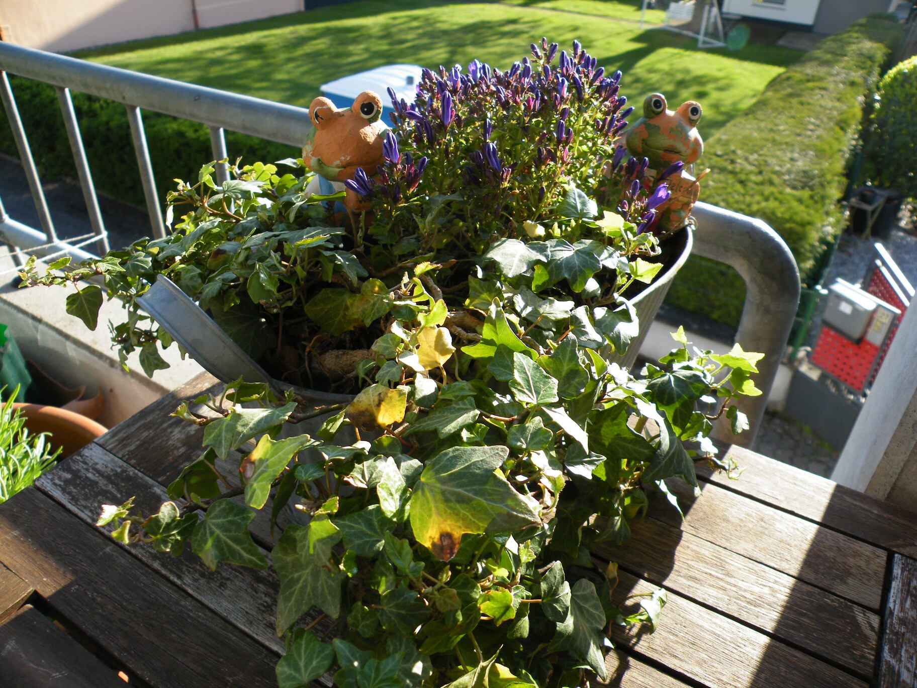 Frosch-Kinder mit Blumen